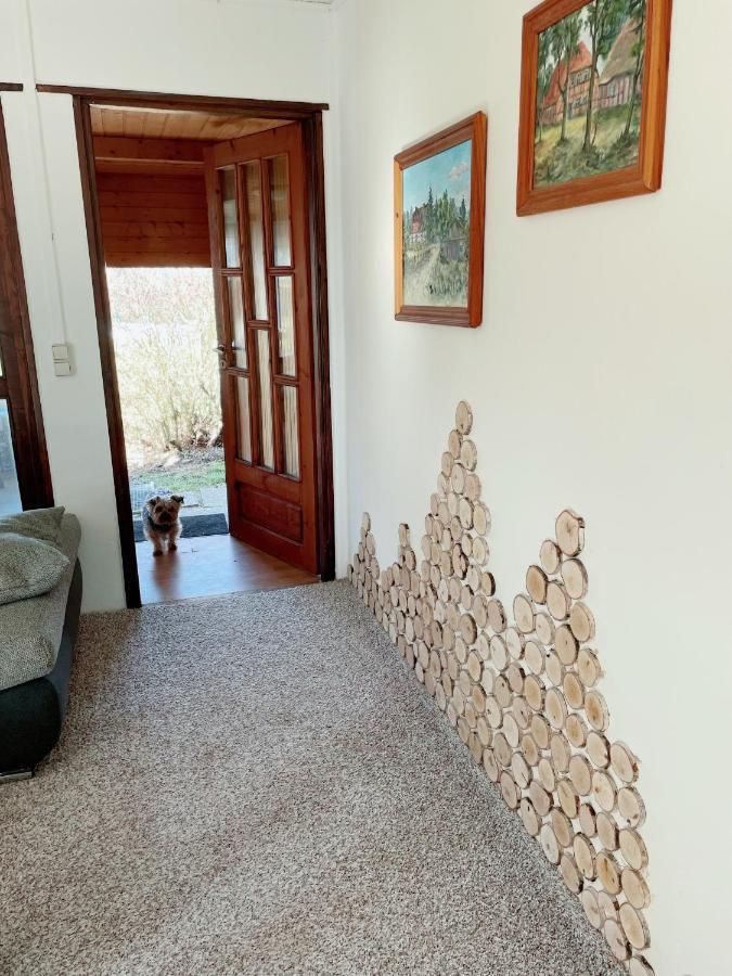 Landhaus Mit Pool, Bungalow In Der Natur Hohenbollentin Zewnętrze zdjęcie