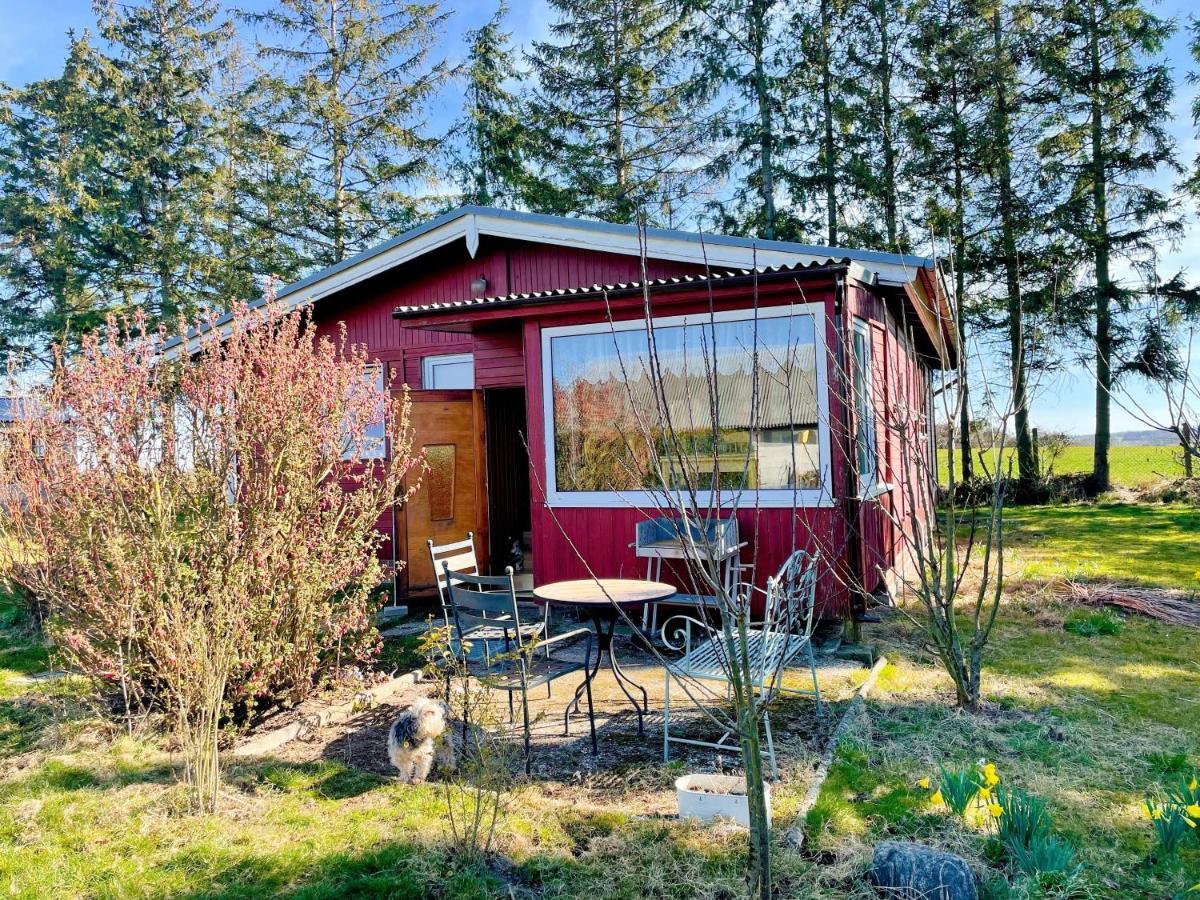 Landhaus Mit Pool, Bungalow In Der Natur Hohenbollentin Zewnętrze zdjęcie