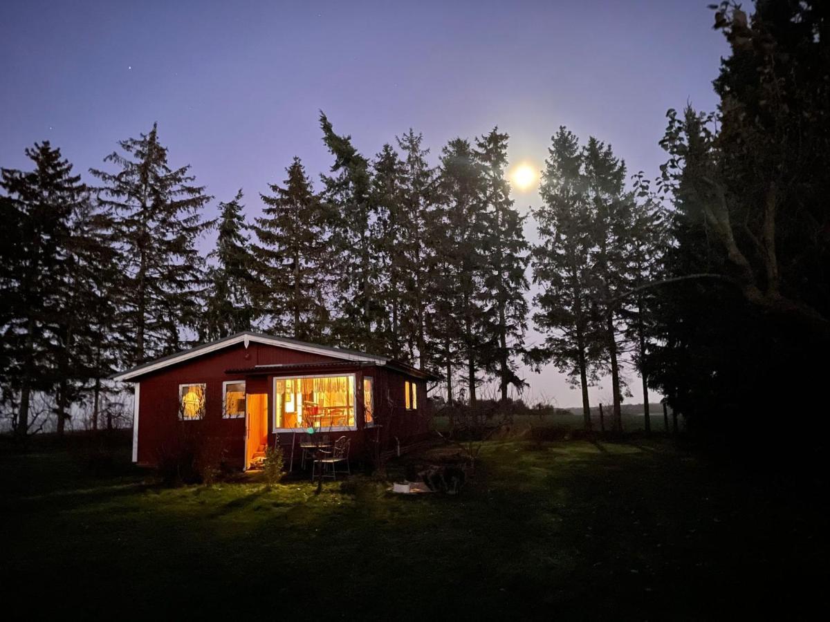 Landhaus Mit Pool, Bungalow In Der Natur Hohenbollentin Zewnętrze zdjęcie